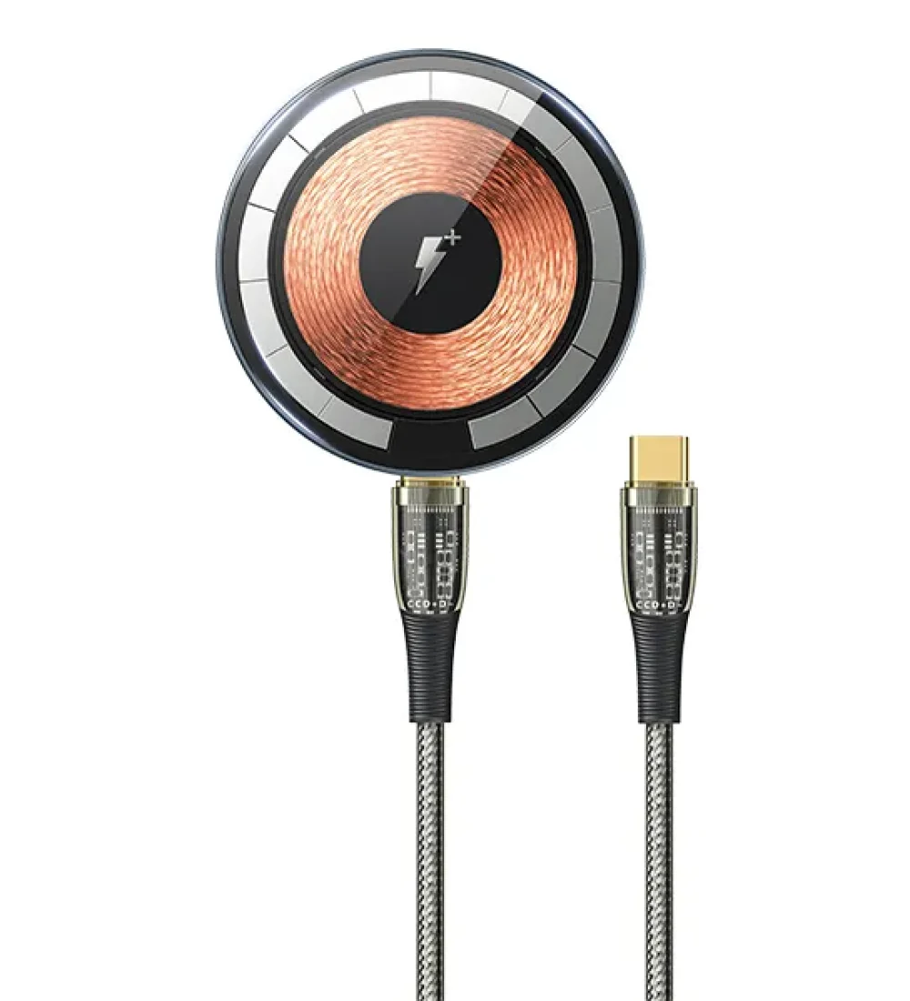 mars magnetic recci